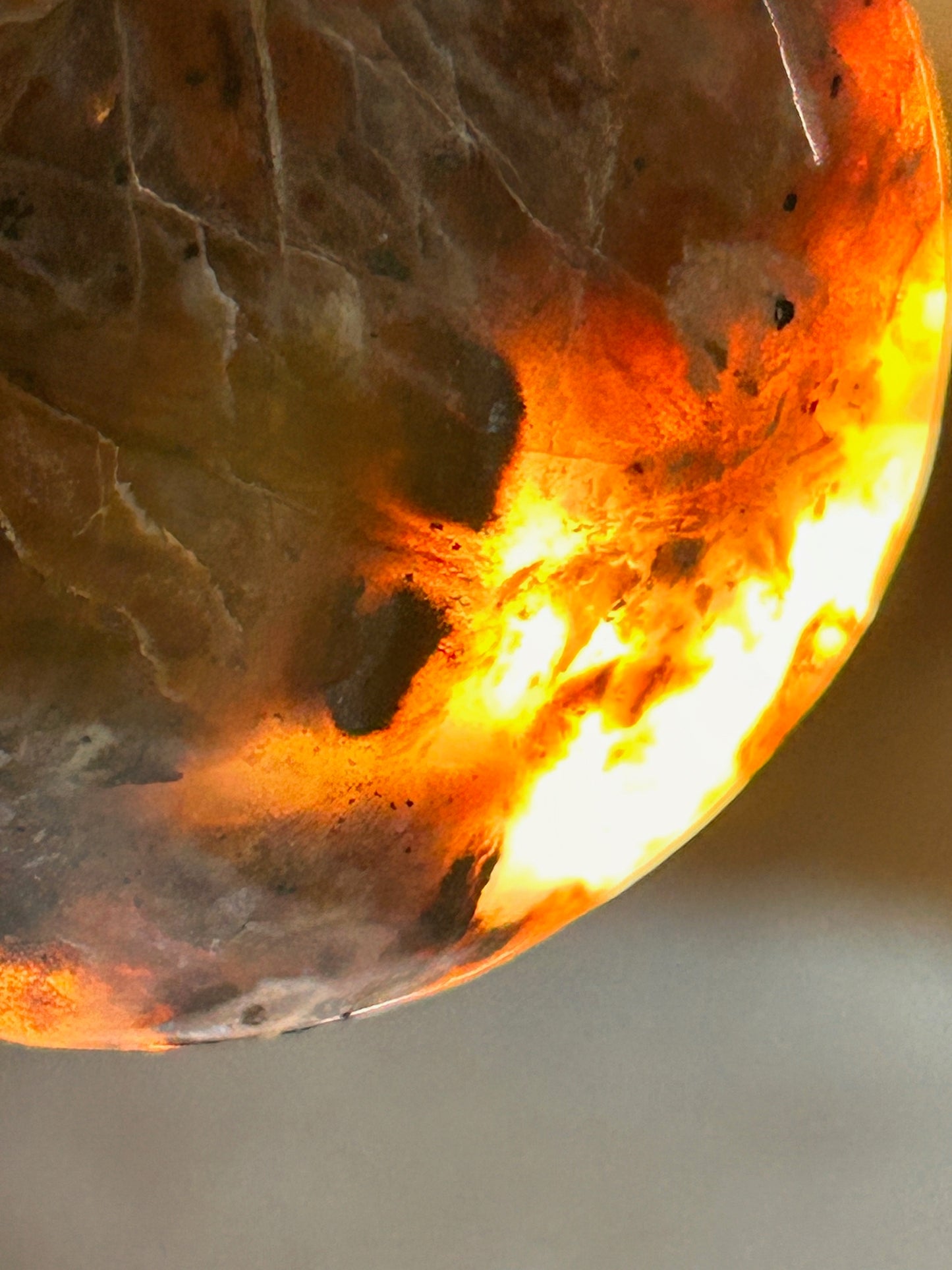 Toro Creek Agate Freeform Oval Pendant