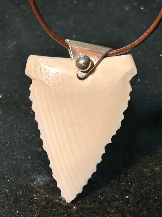 Shell "Shark Tooth" Pendant